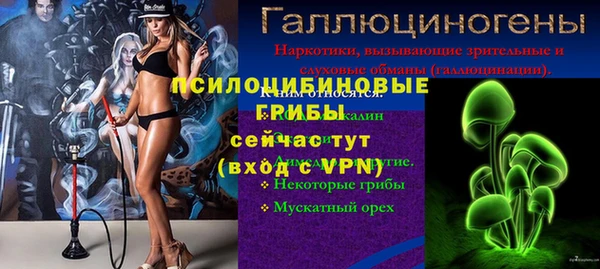 ECSTASY Алексин