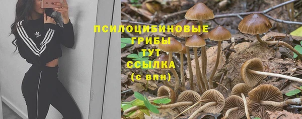 ECSTASY Алексин