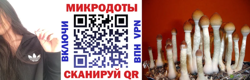 как найти закладки  Апатиты  Псилоцибиновые грибы ЛСД 